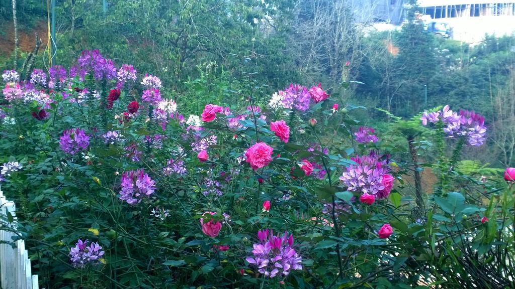 Sapa Garden Resort Luaran gambar